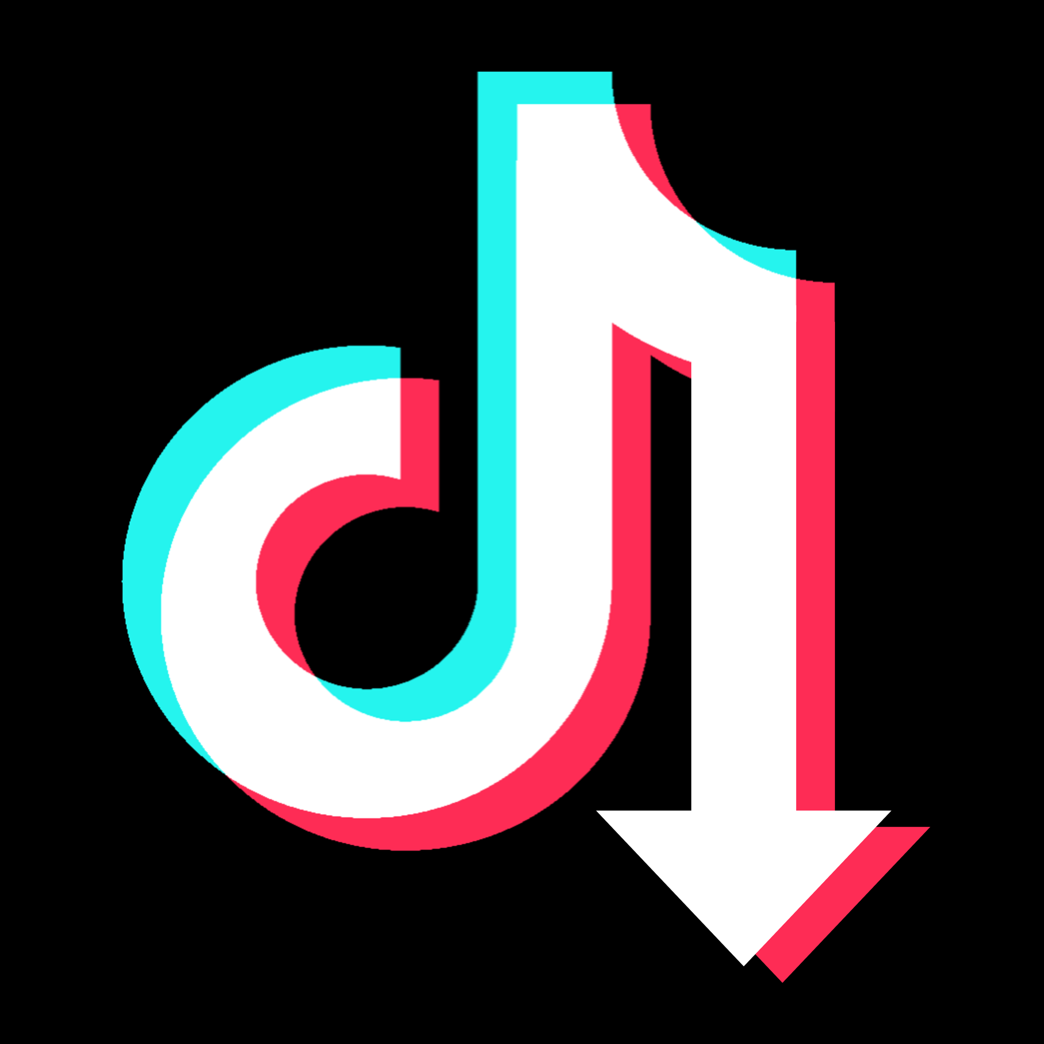 TikTok Downloader - скачать видео без водяных знаков